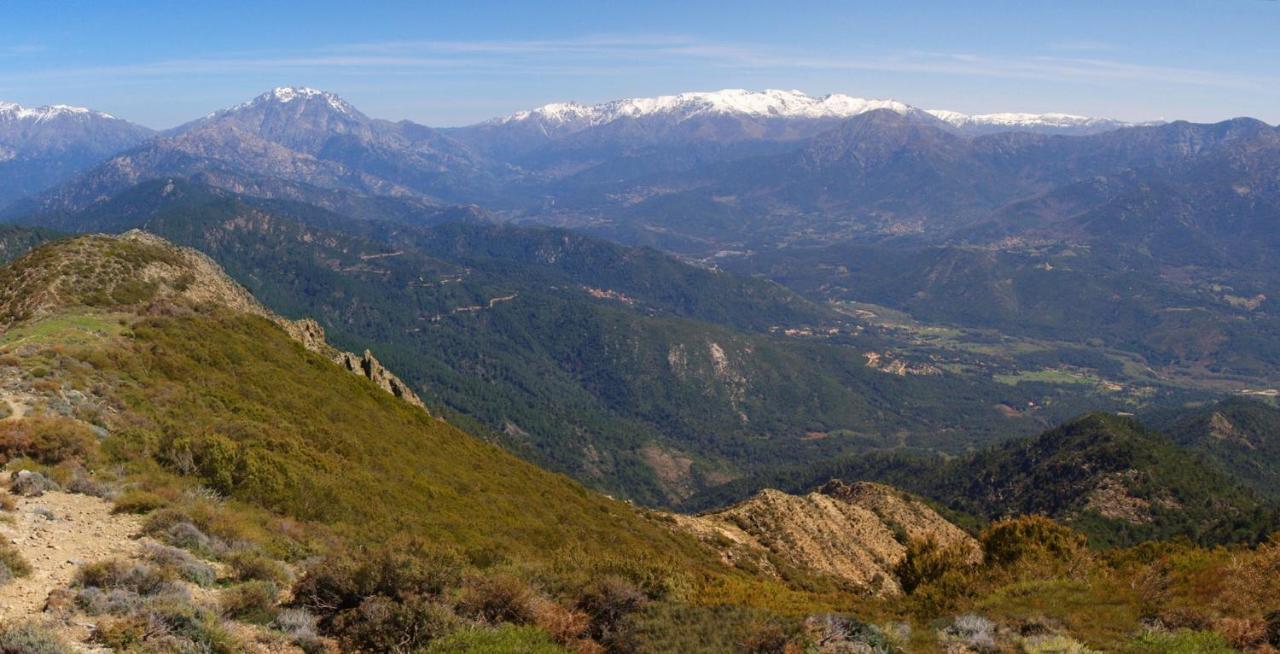 95m2 au calme à 25mn AJACCIO, plages, linge inclus Ucciani Exterior foto