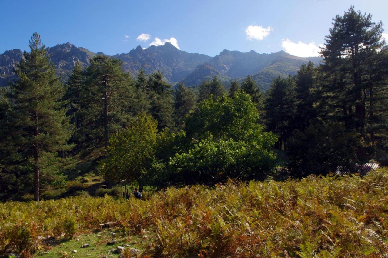 95m2 au calme à 25mn AJACCIO, plages, linge inclus Ucciani Exterior foto